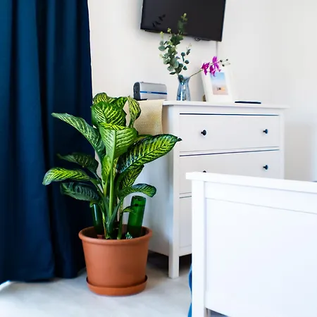 Agnes By Baltic Apartment Ostseebad Heringsdorf