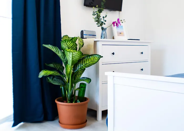 Agnes By Baltic Lägenhet Heringsdorf (Usedom)